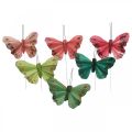 Floristik24 Mini motýľ na drôte červený, zelený 6,5cm 12ks