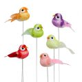 Floristik24 Mini vtáčik rôznych farieb 7cm 12ks