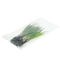 Floristik24 Mini tráva s koreňmi 18cm zelená 6ks