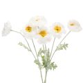 Floristik24 Umelý mak, biely, dlhá stonka, 78 cm, 3 kusy