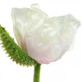 Floristik24 Umelý mak, hodvábny kvet bielo-ružový L55/60/70cm sada 3 ks