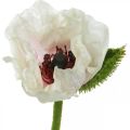 Floristik24 Umelý mak, hodvábny kvet bielo-ružový L55/60/70cm sada 3 ks