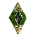 Floristik24 Machový vankúšik rastlina diamant 34cm x 19cm 2ks