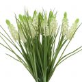 Floristik24 Zväzok hroznových hyacintov biely 30cm 15p