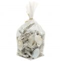 Floristik24 Shell Mix with Pearl and Wood White 200g