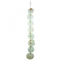 Floristik24 Shell Deco Capiz Garland Shell Garland Green 100cm