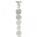 Floristik24 Mušle Garland Mother of Pearl Mušle Garland Capiz 195cm