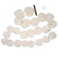 Mušle Garland Mother of Pearl Mušle Garland Capiz 195cm | Floristik24.sk