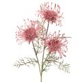 Floristik24 Umelý kvetinový vankúšik na iheličky, protea, kvitnúca vetvička 65 cm, 3 ks