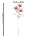Umelý kvetinový vankúšik na iheličky, protea, kvitnúca vetvička 65 cm, 3 ks | Floristik24.sk