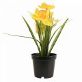 Floristik24 Narcis v kvetináči narcis žltý umelý kvet V21cm