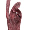 Floristik24 Natraj parohové drevo mix červený, biely praný 10 kusov