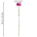 Umelý klinček, dvojfarebný, dlhá stonka 56 cm, kytica 8 kusov | Floristik24.sk