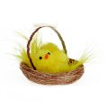 Floristik24 Dekoračné hniezdo so ženilkovým kuriatkom žlté 5cm 4ks