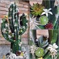 Floristik24 Kvetinová penová figúrka kaktus čierna 38cm x 74cm