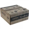 Floristik24 Kompostovateľná zásuvná zmes OASIS® TerraBrick™ 8ks