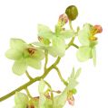 Floristik24 Orchidea 97 cm svetlozelená