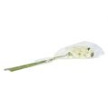 Floristik24 Orchidea biela umelá L73cm 4ks