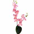 Floristik24 Orchidea Phalaenopsis umelá ružová 60cm