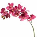 Floristik24 Umelá vetvička orchidey ružová V83cm