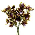 Floristik24 Orchidea Cymbidium zelená, fialová L38cm 4ks
