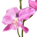 Floristik24 Orchidea Phalaenopsis umelá 6 kvetov fialová 70cm