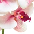 Floristik24 Orchidea Phalaenopsis umelé 9 kvetov biela fuchsiová 96cm