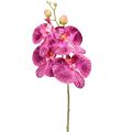 Floristik24 Orchidea flambovaná umelá Phalaenopsis fialová 72cm