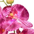 Floristik24 Orchidea flambovaná umelá Phalaenopsis fialová 72cm