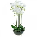 Floristik24 Umelá orchidea v kvetináči biela umelá rastlina 63cm