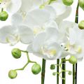 Floristik24 Umelá orchidea v kvetináči biela umelá rastlina 63cm