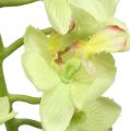 Floristik24 Orchidea 56 cm svetlozelená