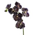 Floristik24 Orchidea Vanda umelá fialka L 44cm
