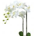 Floristik24 Orchidea biela na žiarovke 65cm