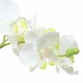Floristik24 Orchidea biela v kvetináči umelá rastlina H35cm