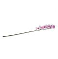 Floristik24 Konár orchidey bielo-ružový L58cm