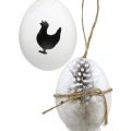 Floristik24 Veľkonočná dekorácia, slepačie vajíčka na zavesenie, ozdobné vajíčka pierko a kuriatka, hnedá, modrá, biela sada 6 ks