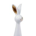 Floristik24 Veľkonočný zajačik biele zlato Veľkonočná dekorácia zajačik Ø10cm V42cm