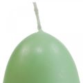 Floristik24 Veľkonočné sviečky tvar vajíčka,vaječné sviečky Veľkonočné zelené Ø4,5cm V6cm 6ks