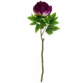 Floristik24 Paeonia, umelý kvet pivonky Pivonka ružová Ø11cm L45cm