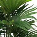 Floristik24 Palmový dekoračný vejár palmové umelé rastliny črepník zelený 80cm