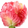 Floristik24 Papagáj Tulipán ružový 71cm 3ks