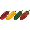 Floristik24 Dekorácia do výkladu paprika zeleninová dekorácia rozmanitá V14cm 4ks