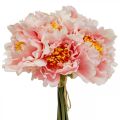 Floristik24 Paeonia pivonka umelý kvet Pivonka ružová Ø6cm 28cm 7ks