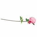 Floristik24 Pivonka umelý kvet s kvetom a púčikmi ružový 68cm