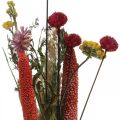 Floristik24 Kytica sušených kvetov s lúčnymi kvetmi ružová DIY sada V30-35cm