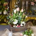 Floristik24 Kvetináč, dekoratívna krabica, drevená krabica s držadlami, krabica na remeslá Shabby Chic L25cm H10cm