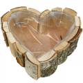 Floristik24 Kvetináč, drevená miska v tvare srdca, kvetináč z brezového dreva, miska v tvare srdca 27×28 cm