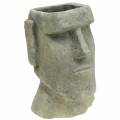 Floristik24 Hlava rastliny Moai Bust Grey V28 cm