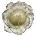 Floristik24 Kvet ruže na sadenie, smútočné kvety, kamenná ruža, betónová dekorácia sivá, marhuľa, fialová Ø11cm L22cm V9cm